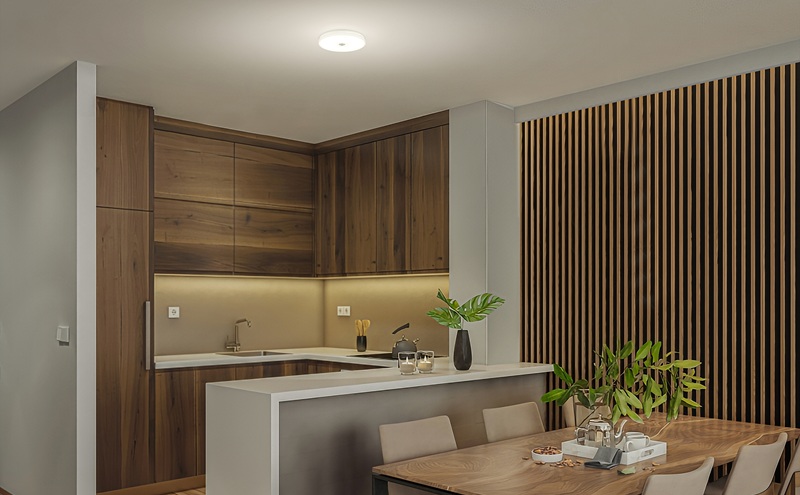 LED小型シーリングライト 電球色 SCL20L-U2 シーリングライト LED 小型 薄型 led おしゃれ 照明 照明器具 アイリスオーヤマ 天井 簡単取付 電球色 省エネ コンパクト キッチン 廊下 トイレ 小型シーリングライト