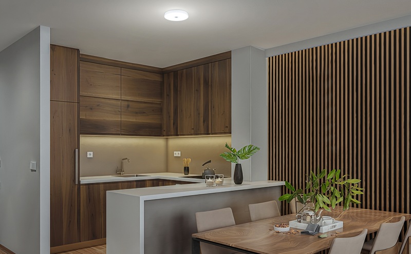 LED小型シーリングライト 昼白色 SCL20N-U2 シーリングライト LED 小型 薄型 led おしゃれ 照明 照明器具 アイリスオーヤマ 天井 簡単取付 昼白色 省エネ コンパクト キッチン 廊下 トイレ 小型シーリングライト