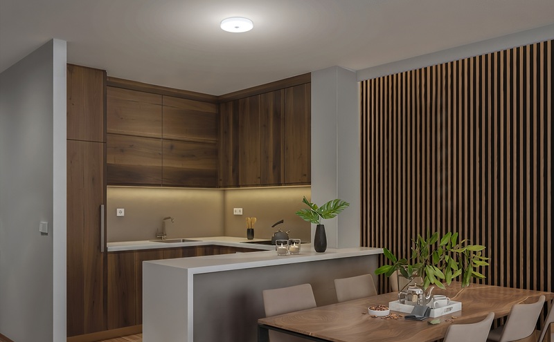 LED小型シーリングライト 昼光色 SCL20D-U2 シーリングライト LED 小型 薄型 led おしゃれ 照明 照明器具 アイリスオーヤマ 天井 簡単取付 昼光色 省エネ コンパクト キッチン 廊下 トイレ 小型シーリングライト