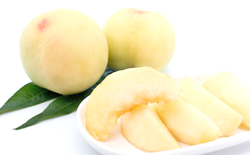 桃 2026年 数量限定 清水白桃 糖度12度以上 3玉 計1.0kg以上 岡山県 赤磐市産