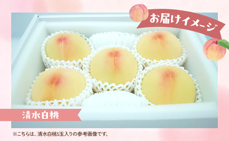 桃 2026年 数量限定 清水白桃 糖度12度以上 6-8玉 計2.0kg以上 岡山県 赤磐市産