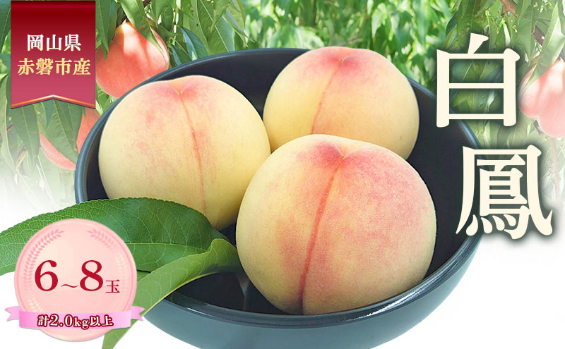 桃 2026年 数量限定 白鳳 6-8玉 計2.0kg以上 岡山県 赤磐市産