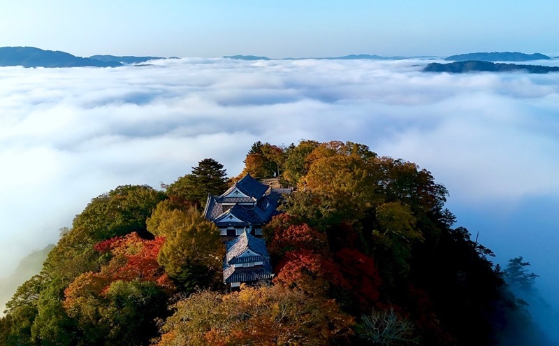 さんじゅーろー 最中アイス 詰め合わせ セット（6個入り） 