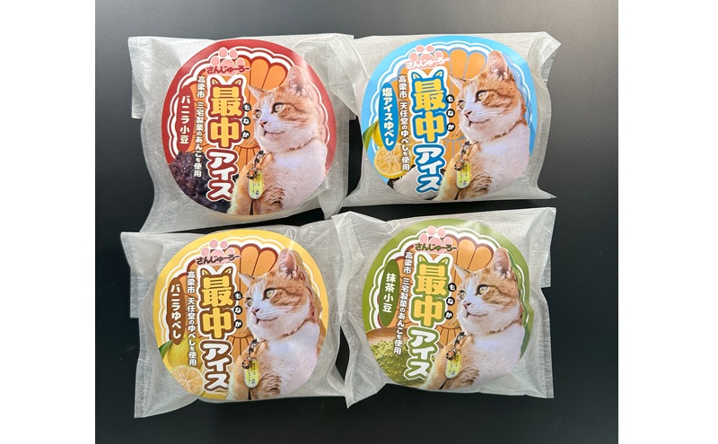 さんじゅーろー 最中アイス 詰め合わせ セット（6個入り） 