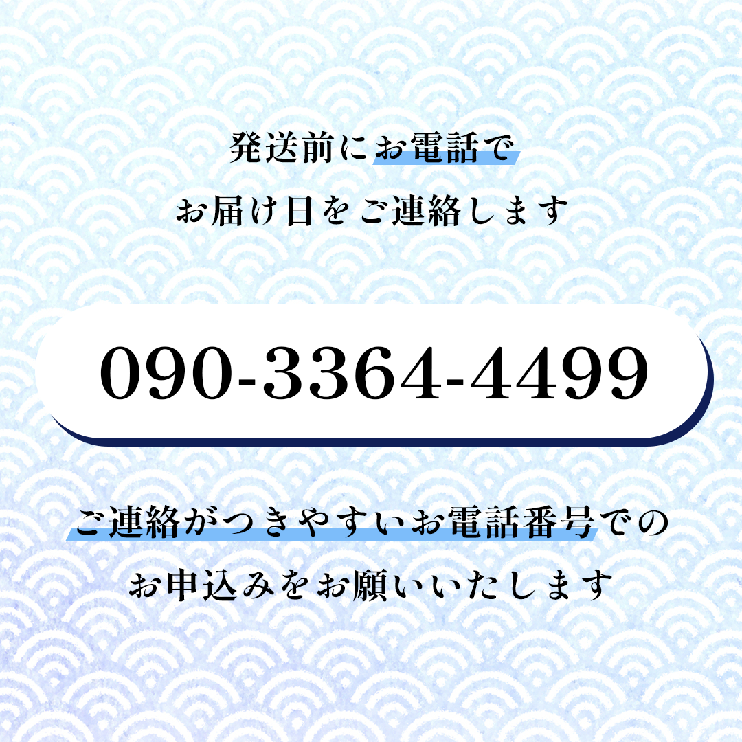 鮮魚 冷蔵 クール便「 開けたらすぐ食べられる下処理済み 海産物 4～5人前 セット 」みずしまや【 パック 詰め合わせ 海鮮セット 鮮魚ボックス 海鮮 海の幸 魚介 魚介類 刺身 切り身  秋田県 にかほ 】 