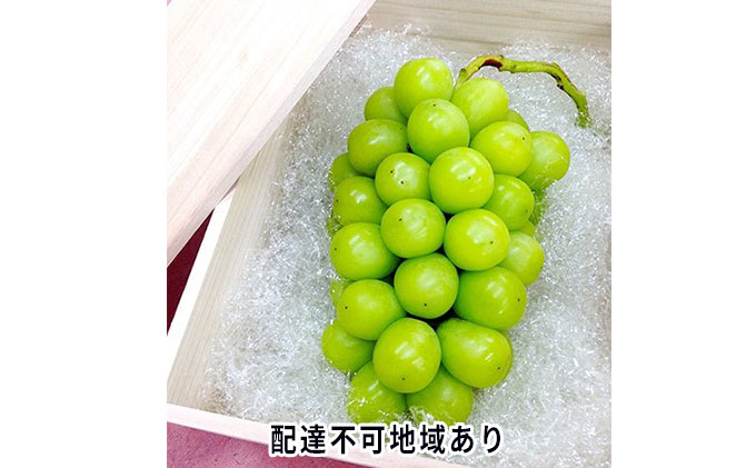 �y���R���ʖ�s�z�Ԃǂ� 2026�N ��s�\�� �V���C�� �}�X�J�b�g �˔� 1�[���� 800g�ȏ� �u�h�E ����  ���R���Y ���Y �t���[�c �ʕ� �M�t�g �����Ԃǂ��� �ʕ��� �V���C���}�X�J�b�g