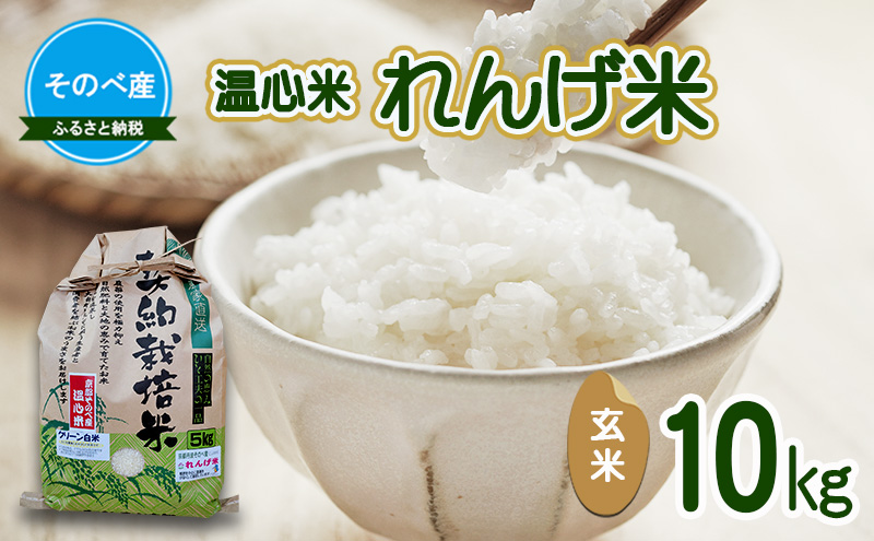 れんげ米10kg 玄米×1 令和7年度産　そのべ産 温心米 お米 単一原料米 こしひかり 丹波 精米 玄米 こめ コメ 京都