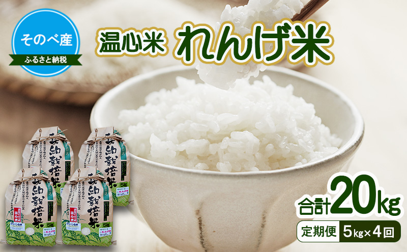 【定期便】れんげ米5kg×4回　合計20kg 令和7年度産　そのべ産 温心米 お米 単一原料米 こしひかり 丹波 精米 白米 こめ コメ 京都