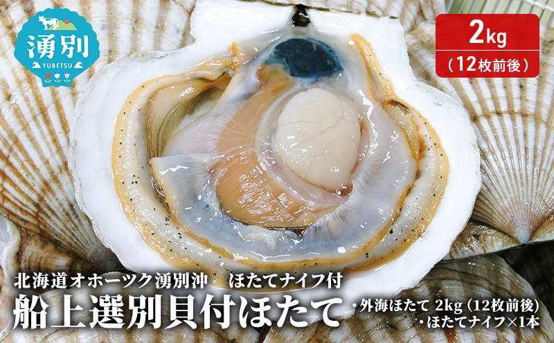 北海道 オホーツク 湧別沖 船上 選別 貝付 ほたて 2kg（12枚前後）ホタテナイフ付 帆立 刺身 海鮮 魚介 国産 殻付き 冷蔵 サロマ湖 魚貝類 砂抜き お刺身 生食