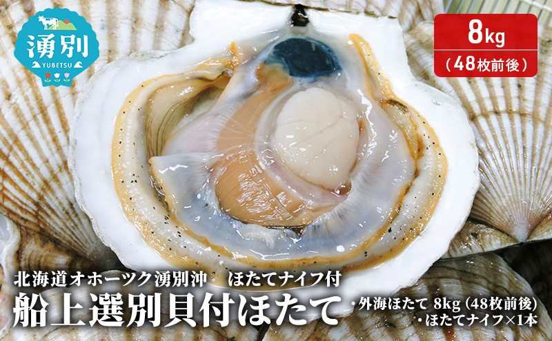 �y�k�C���N�ʒ��z�k�C�� �I�z�[�c�N �N�ʉ� �D�� �I�� �L�t �ق��� 8kg�i48���O��j�z�^�e�i�C�t�t ���� �h�g �C�N ���� ���Y �k�t�� �① �T���}�� ���L�� ������ ���h�g ���H