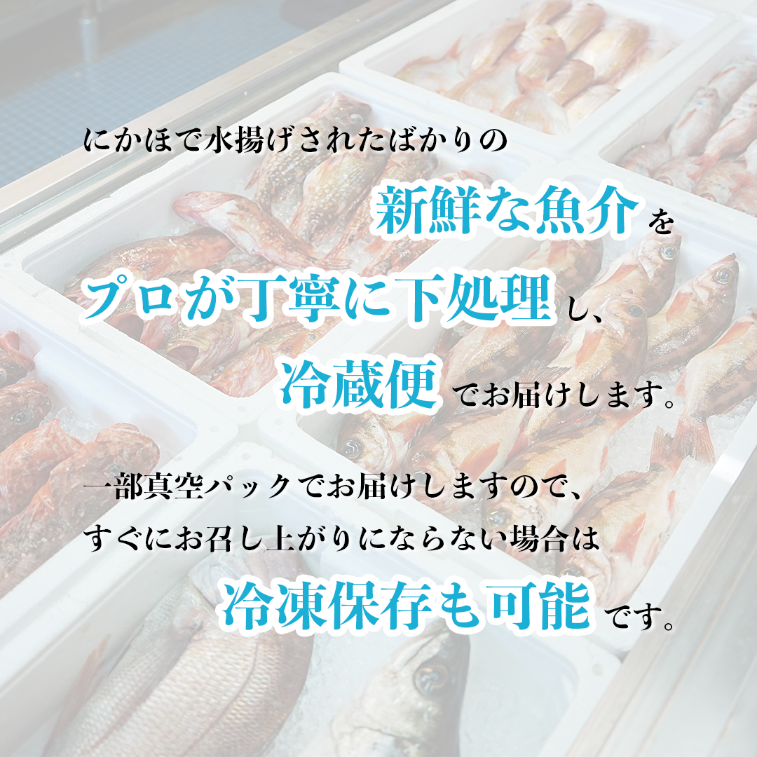 鮮魚 冷蔵 クール便「 開けたらすぐ食べられる下処理済み 海産物 2～3人前 セット 」佐藤鮮魚店【 パック 詰め合わせ 海鮮セット 鮮魚ボックス 海鮮 海の幸 魚介 魚介類 刺身 切り身  秋田県 にかほ 】