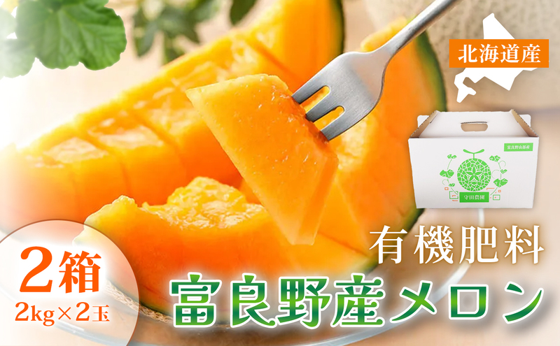 【糖度15度以上 赤肉メロン】富良野産 特秀品メロン 2kg×2玉 2箱｜北海道富良野市 7～8月発送 贈答用 ギフト プレゼント メロン 赤肉メロン 富良野メロン 果物 フルーツ とろける甘さ 夏季限定 旬の味覚 芳醇な香り