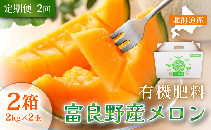 【定期便2ヵ月】糖度15度以上 赤肉メロン 富良野産 特秀品メロン 2kg×2玉 2箱×全2回｜北海道富良野市 7～8月発送 贈答用 ギフト プレゼント メロン 赤肉メロン 富良野メロン 果物 フルーツ とろける甘さ 夏季限定