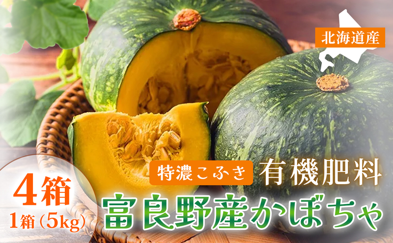 【秋の味覚 北海道産 カボチャ】特濃こふき 無選別 5kg×4箱｜北海道富良野市 9～10月発送 野菜 しっとり ホクホク 濃厚 甘い 濃橙果肉 黒皮カボチャ かぼちゃ こふきかぼちゃ 南瓜 料理用 煮物 業務用 贈答用