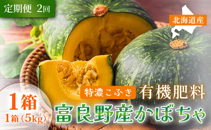 【定期便2ヵ月】秋の味覚 北海道産 カボチャ 特濃こふき 無選別 5kg×1箱 全2回｜北海道富良野市 9～10月発送 野菜 しっとり ホクホク 濃厚 甘い 濃橙果肉 黒皮カボチャ かぼちゃ こふきかぼちゃ 南瓜 料理用 煮物