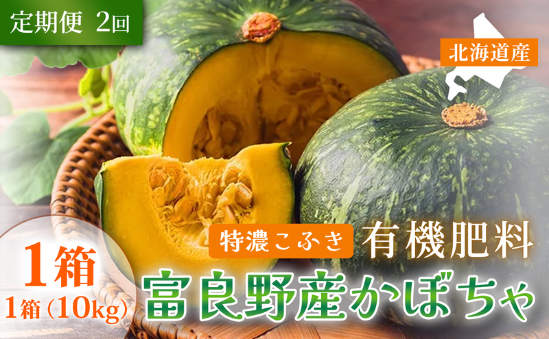 【定期便2ヵ月】秋の味覚 北海道産 カボチャ 特濃こふき 無選別 10kg×1箱 全2回｜北海道富良野市 9～10月発送 野菜 しっとり ホクホク 濃厚 甘い 濃橙果肉 黒皮カボチャ かぼちゃ こふきかぼちゃ 南瓜 料理用 煮物