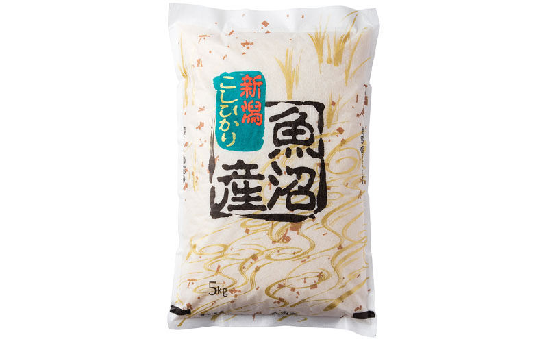 �y�V�����\�����s�z�����Y�R�V�q�J��5kg