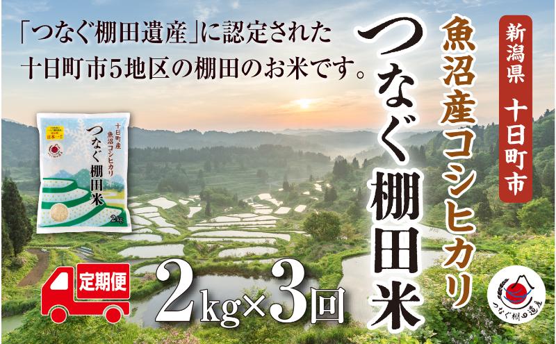 【定期便／全3回】精米2kg　令和7年産新潟県十日町市魚沼産コシヒカリ「つなぐ棚田米」  米 こしひかり 精米 定期 十日町市