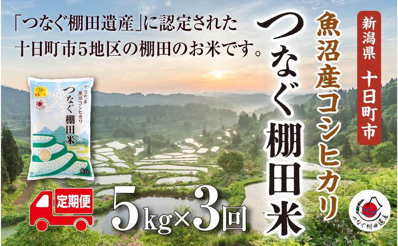 【定期便／全3回】精米5kg 　令和7年産新潟県十日町市魚沼産コシヒカリ「つなぐ棚田米」 米 こしひかり 精米 定期 十日町市