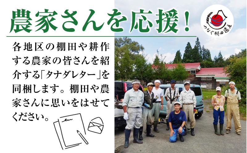 【定期便／全4回】無洗米2kg　令和7年産新潟県十日町市魚沼産コシヒカリ「つなぐ棚田米」 米 こしひかり 無洗米 定期 十日町市
