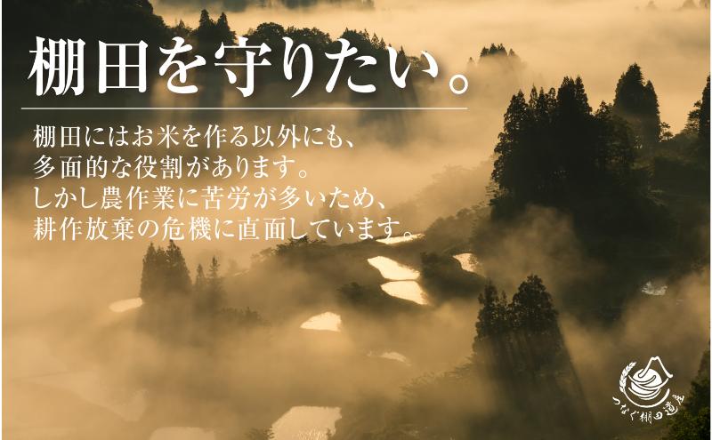 【定期便／全6回】精米2kg　令和7年産新潟県十日町市魚沼産コシヒカリ「つなぐ棚田米」 米 こしひかり 精米 定期 十日町市