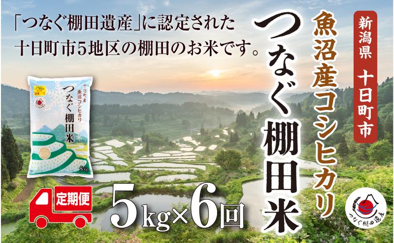 【定期便／全6回】精米5kg　令和7年産新潟県十日町市魚沼産コシヒカリ「つなぐ棚田米」  米 こしひかり 精米 定期 十日町市