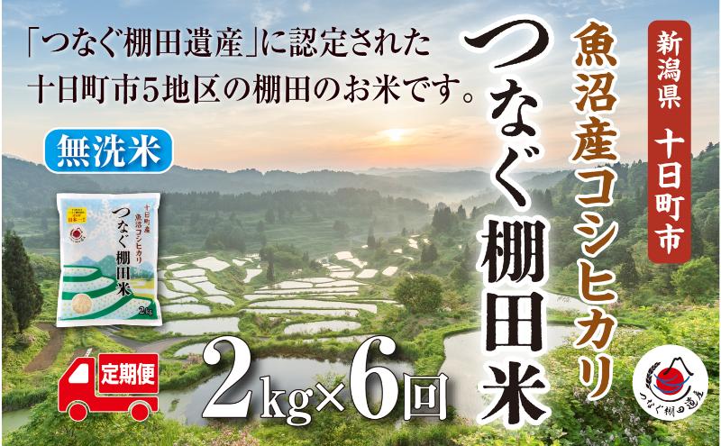 定期便／全6回】玄米2kg 令和7年産新潟県十日町市魚沼産コシヒカリ