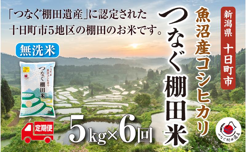 定期便／全6回】無洗米5kg 令和7年産新潟県十日町市魚沼産コシヒカリ