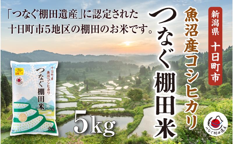 精米5kg　令和7年産新潟県十日町市魚沼産コシヒカリ「つなぐ棚田米」 米 こしひかり 精米 十日町市