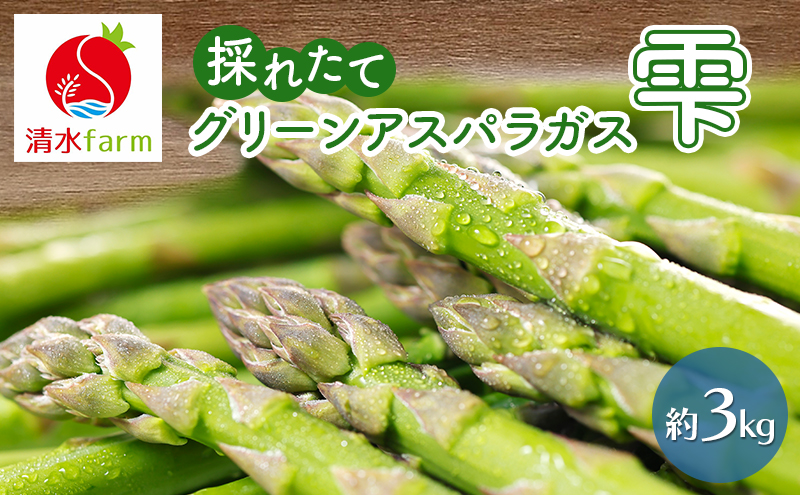 【2026年4月発送】富良野産 採れたて直送! グリーンアスパラ 「雫」 M～2L サイズ混合 【約3kg】 (清水farm) アスパラ アスパラガス 野菜 新鮮 季節限定 北海道 富良野 ふらの