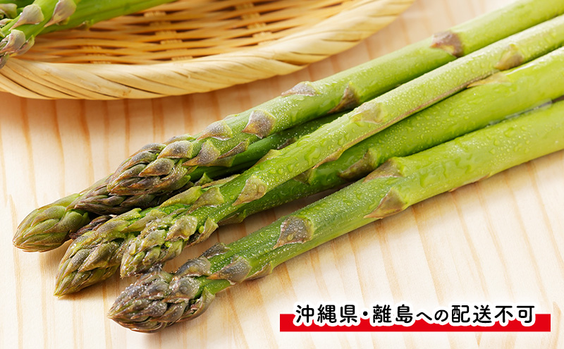 【2026年4月発送】富良野産 採れたて直送! グリーンアスパラ 「雫」 M～2L サイズ混合 【約3kg】 (清水farm) アスパラ アスパラガス 野菜 新鮮 季節限定 北海道 富良野 ふらの