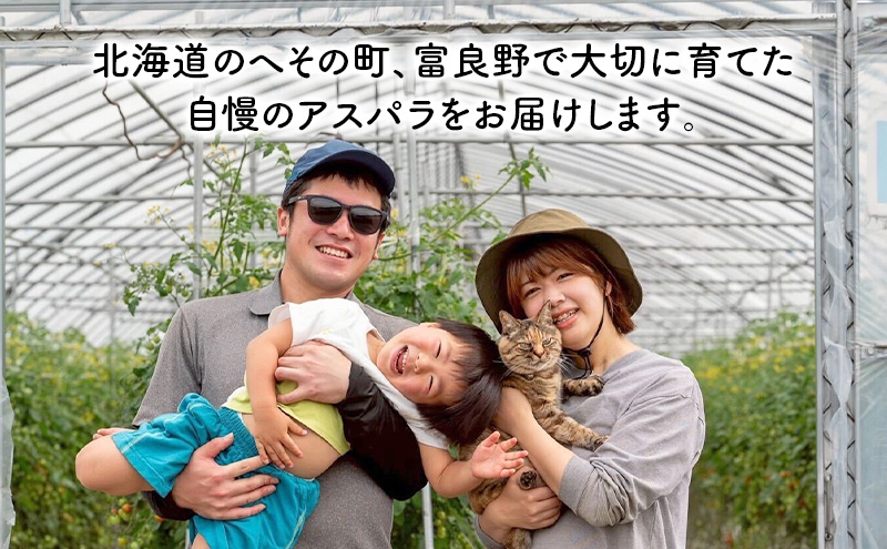 【2026年4月発送】富良野産 採れたて直送! グリーンアスパラ 「雫」 M～2L サイズ混合 【約3kg】 (清水farm) アスパラ アスパラガス 野菜 新鮮 季節限定 北海道 富良野 ふらの