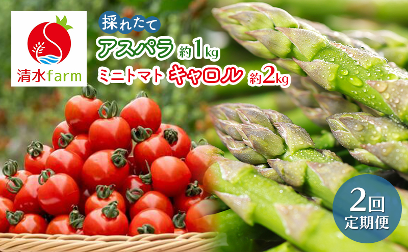 �y�k�C���x�ǖ�s�z�y2026�N�����z��2�����ց� �x�ǖ�Y �̂ꂽ�Ē���! �u�A�X�p�� ��1kg�E�~�j�g�}�g �L������10 ��2kg�v (����farm) �A�X�p�� �A�X�p���K�X �g�}�g �~�j�g�}�g �Ƃ܂� ��� �V�N �G�ߌ��� �k�C�� �x�ǖ� �ӂ��