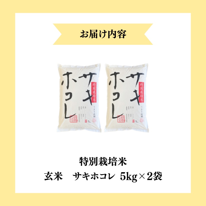 【令和7年産新米】栽培期間中 農薬・化学肥料不使用【玄米】特別栽培米サキホコレ5kg×2
