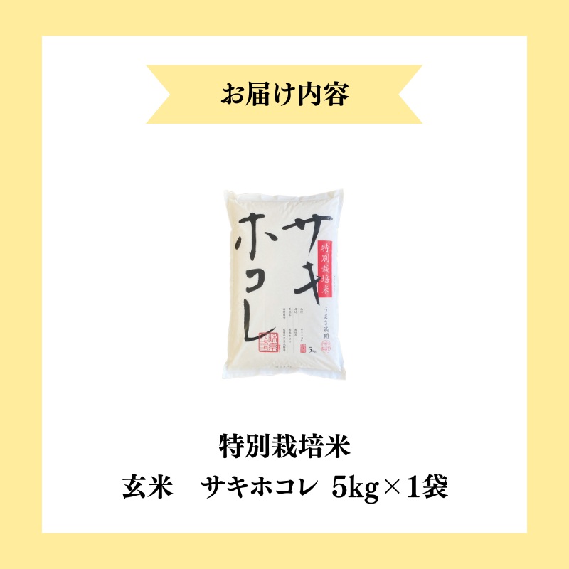 【令和7年産新米】栽培期間中 農薬・化学肥料不使用【玄米】特別栽培米サキホコレ5kg×1