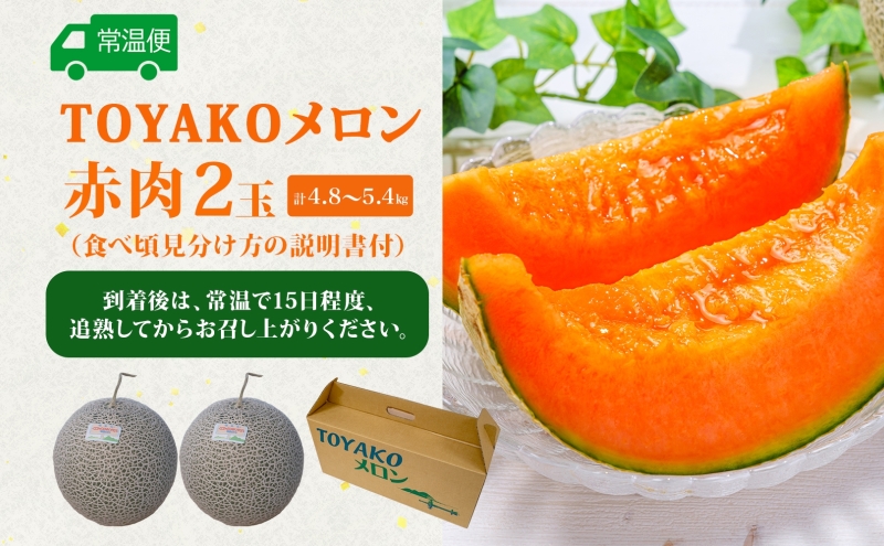 TOYAKOメロン 2玉 計4.8kg～5.4kg 2026年9月下旬～10月中旬お届け 北海道産 メロン レッド113 糖度14度以上 赤肉 フルーツ 果物 旬 デザート 国産 贈り物 常温 今村農園 北海道 洞爺湖町 