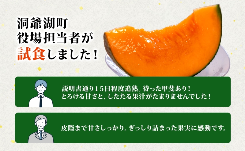 TOYAKOメロン 2玉 計4.8kg～5.4kg 2026年9月下旬～10月中旬お届け 北海道産 メロン レッド113 糖度14度以上 赤肉 フルーツ 果物 旬 デザート 国産 贈り物 常温 今村農園 北海道 洞爺湖町 
