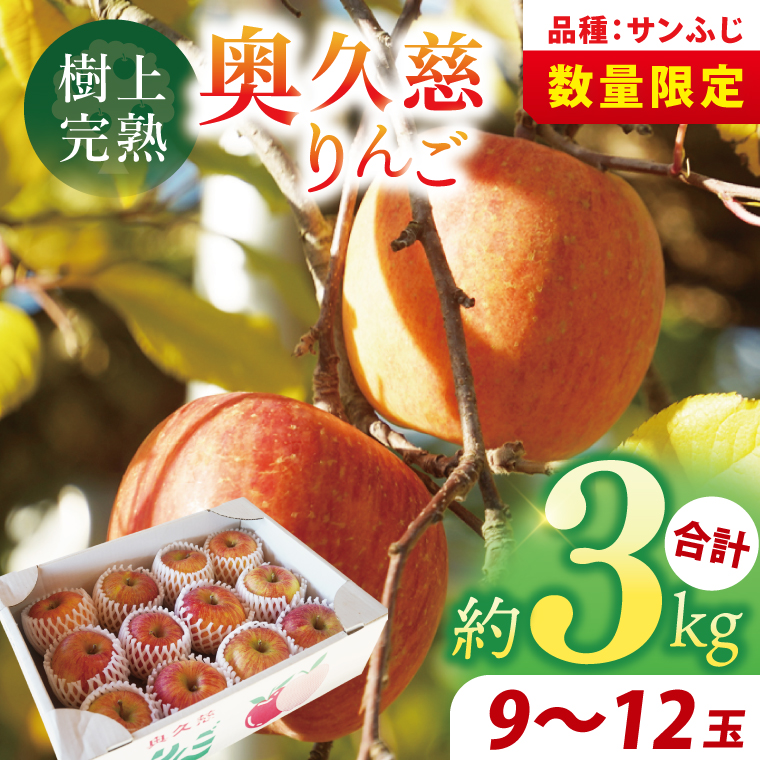 �y��錧��q���z�y�����񂲉��z���㊮�n�̉��v����񂲁u�T���ӂ��v��3kg�i9�`12�ʁj�b��錧 ��q�� �ь� �A�b�v�� �ʕ� �t���[�c �V���L�V���L �݂��݂����� �{ �H ���o �M�t�g �����iDF001�j