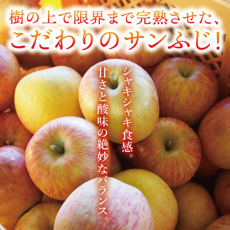 【仲野りんご園】樹上完熟の奥久慈りんご「サンふじ」約3kg（9～12玉）｜茨城県 大子町 林檎 アップル 果物 フルーツ シャキシャキ みずみずしい 旬 秋 味覚 ギフト 贈答（DF001）