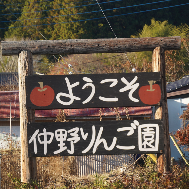【仲野りんご園】樹上完熟の奥久慈りんご「サンふじ」約3kg（9～12玉）｜茨城県 大子町 林檎 アップル 果物 フルーツ シャキシャキ みずみずしい 旬 秋 味覚 ギフト 贈答（DF001）