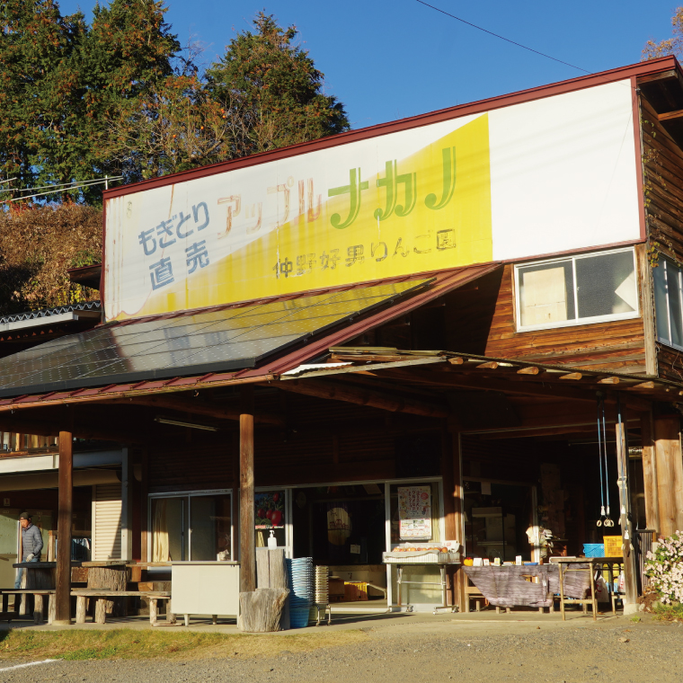【仲野りんご園】樹上完熟の奥久慈りんご「サンふじ」約3kg（9～12玉）｜茨城県 大子町 林檎 アップル 果物 フルーツ シャキシャキ みずみずしい 旬 秋 味覚 ギフト 贈答（DF001）