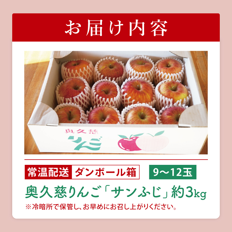 【仲野りんご園】樹上完熟の奥久慈りんご「サンふじ」約3kg（9～12玉）｜茨城県 大子町 林檎 アップル 果物 フルーツ シャキシャキ みずみずしい 旬 秋 味覚 ギフト 贈答（DF001）