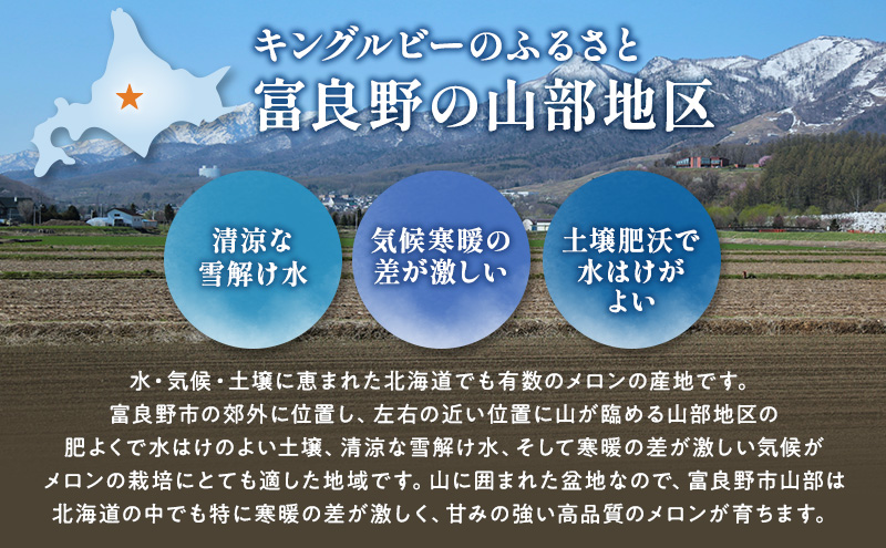 【2026年夏発送】富良野産 赤肉メロン 大玉 3～4玉（1玉：2kg以上）[近藤農園] メロン フルーツ 果物 新鮮 甘い 贈り物 ギフト 道産 ジューシー おやつ ふらの ブランド 夏 北海道 富良野市