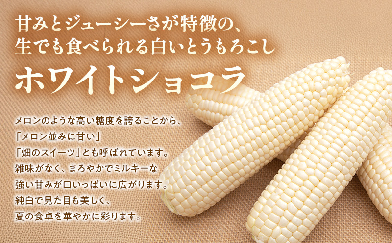 【2026年夏発送】富良野産 とうもろこし ホワイトショコラ 約6本 [近藤農園] とうもろこし コーン とうきび 野菜 新鮮 甘い 贈り物 ギフト 道産 ジューシー ふらの ブランド 夏 北海道 富良野市