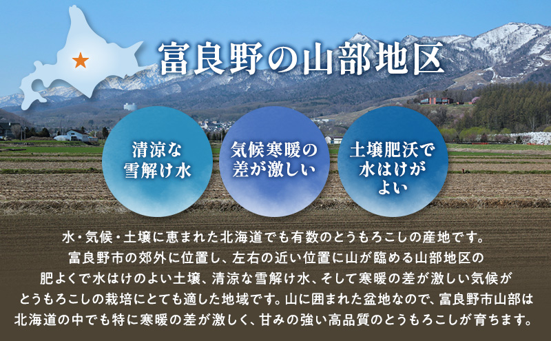 【2026年夏発送】富良野産 とうもろこし ホワイトショコラ 約6本 [近藤農園] とうもろこし コーン とうきび 野菜 新鮮 甘い 贈り物 ギフト 道産 ジューシー ふらの ブランド 夏 北海道 富良野市