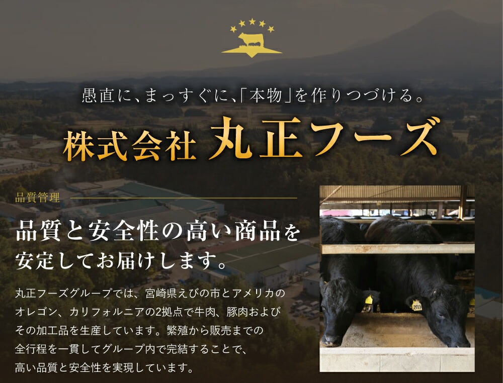 宮崎県産 黒牛 焼肉 赤身 牛肉 焼肉セット ロース 肩ロース 三角バラ 2点盛り 560g(280g × 2パック)焼肉用 肉 お肉 牛 国産牛 食べ比べ セット 小分け 真空パック コスパ 冷凍 贈答 贈答用 ギフト BBQ アウトドア キャンプ 人気 国産 国産牛 九州 宮崎県 えびの市 送料無料