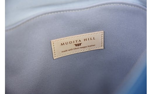 近江牛レザーと地産帆布で作ったフラップ付きリュック　びわ湖ブルー【CC42W】