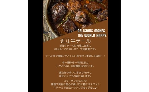 【数量限定】希少部位　近江牛テール2.5kg（約500g×5）小分けで便利【FO72W】