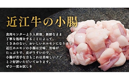 味付けホルモン　秘伝のタレ漬け　近江牛小腸　900g（300g×3）【FO74W】