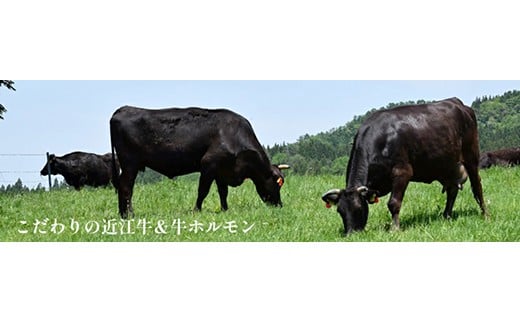 味付けホルモン　秘伝のタレ漬け　近江牛小腸　900g（300g×3）【FO74W】